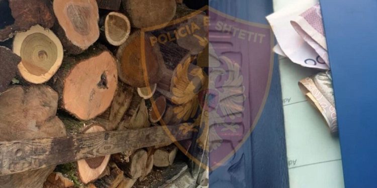 Kishte prerë dru pa leje dhe tentoi t’i jepte 7 mijë lekë policit, arrestohet i riu në Sarandë