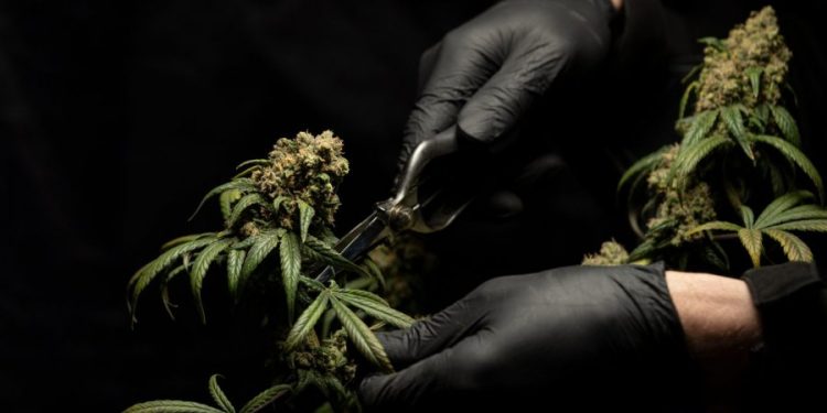 ‘Më mirë në burg se në Shqipëri’, shqiptari habit policinë angleze