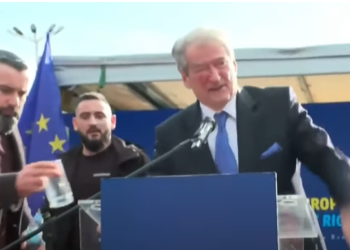 Hundën me gjak, flet Berisha: Asgjë në botë nuk na mposht