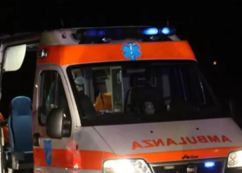 Sapo kishte mbledhur hurma për t’ia çuar fëmijëve, shqiptari aksidentohet për vdekje