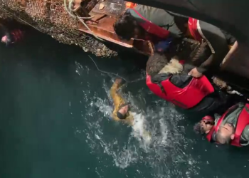 A kishte emigrantë shqiptarë në gomonen e mbytur? Reagon Ministria e Jashtme