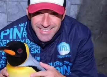 Del Piero dhe gafa me pinguinin, tifozët: Këtë nuk duhet të na e kishe bërë