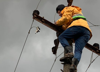 OSHEE: Përmirësohet situata e furnizimit me energji, deri në mesditë riparohen 70 % e avarive