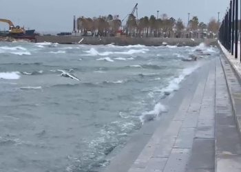 Situata në Vlorë/ Mungesë energjie dhe pezullim lundrimi