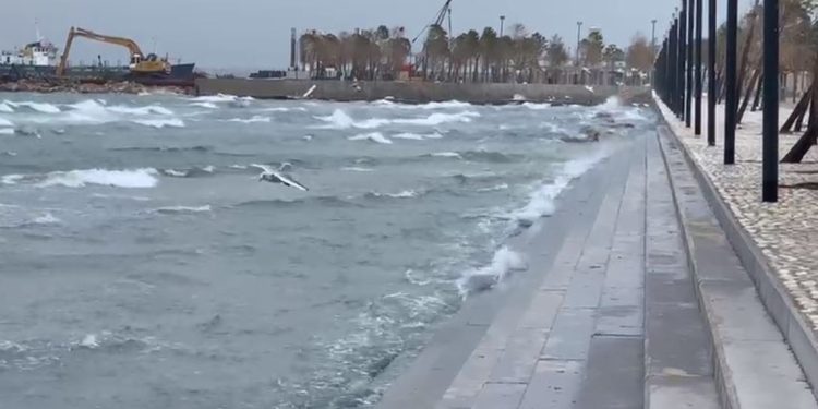 Situata në Vlorë/ Mungesë energjie dhe pezullim lundrimi