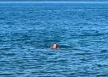 Vlonjati sfidon ngricat, noton në det në temperaturat -2 gradë celsius (VIDEO)