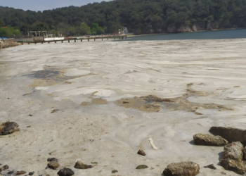 VIDEO/ Fenomeni në Turqi frikëson banorët, ja për çfarë bëhet fjalë?
