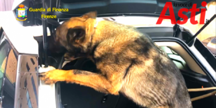 Qeni ‘merr në qafë’ shqiptaren në Itali, i gjejnë 350 mijë euro drogë në makinë