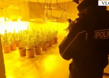 Zbulohen 2 ‘shtëpi bari’, ja kush janë të arrestuarit (Emrat)