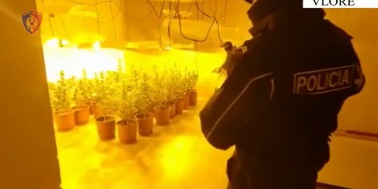 Zbulohen 2 ‘shtëpi bari’, ja kush janë të arrestuarit (Emrat)