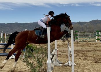 Gara me kuaj në Korçë, dhjetëra kalorës nga e gjithë Shqipëria marrin pjesë (FOTO)