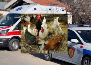 I zoti i shtëpisë e masakroi pasi e kapi duke vjedhur dy pula, hajduti nga Kuçova ndërron jetë në spital
