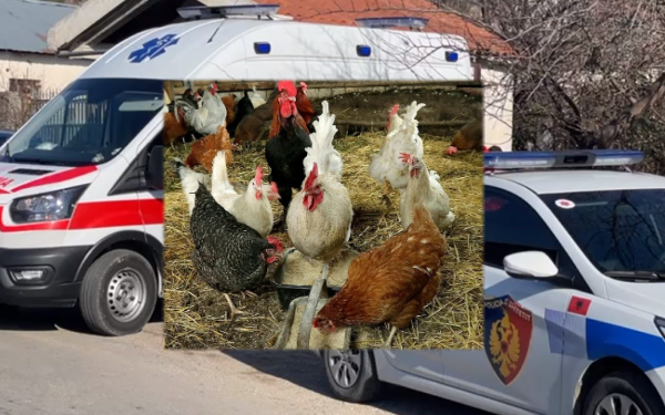 I zoti i shtëpisë e masakroi pasi e kapi duke vjedhur dy pula, hajduti nga Kuçova ndërron jetë në spital