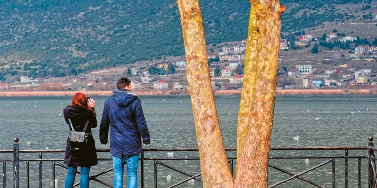 Tronditet Janina, biznesmeni urdhëroi 3 burra t’i hedhin gruan shtatzënë në liqen. Zbardhen detaje nga ngjarja