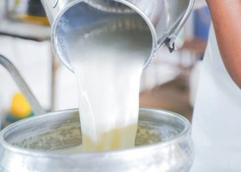 Shqipëria në krizë për qumësht, fabrikat furnizohen nga importi