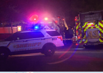 Tronditëse/ 3-vjeçari vret gabimisht me armë motrën 4-vjeçare