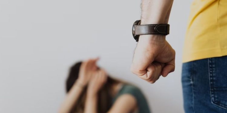 Gjirokastër, vëllai bëhet bashkë me gruan për të rrahur motrën e tij