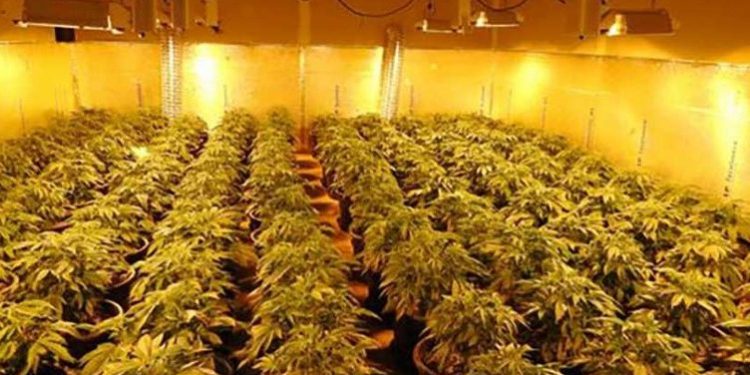 Angli/ Bosi shqiptar i shtëpive të barit tenton bllokimin e dëbimit në Shqipëri