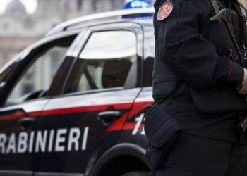 Transportonin drogë nga Holanda në Itali, shkatërrohet grupi kriminal i drejtuar nga shqiptarët, 8 të arrestuar