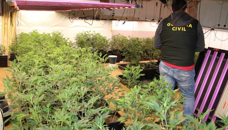 Zbulohen 16 shtëpi bari në Spanjë/ Në pranga 19 shqiptarë dhe rusë