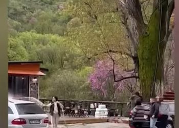 Sherri mes pronares së lokalit dhe tregtarit ambulant te Uji i Ftohtë në Tepelenë. Momenti kur i riu i lag makinën me benzinë e tenton t’i vërë flakën (VIDEO)