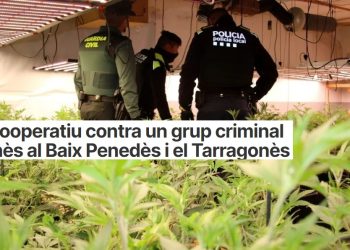 Zbulohen 16 shtëpi bari në Spanjë/ Në pranga 19 shqiptarë dhe rusë