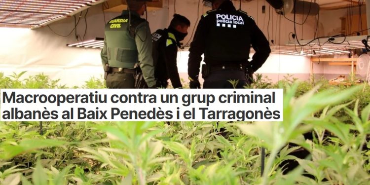 Zbulohen 16 shtëpi bari në Spanjë/ Në pranga 19 shqiptarë dhe rusë