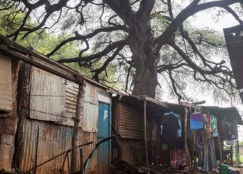 Ministrja arrestohet për vjedhje llamarinash, ministri tjetër i heq nga çatia e kasolles së dhive dhe ia kthen shtetit