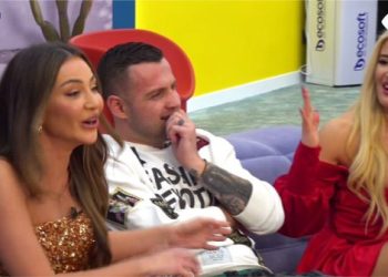 Big Brother, dritëhijet e një zhanri