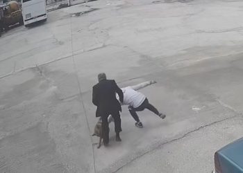 Pamje të rënda nga Saranda/ Shihni se si qeni pastor sulmon biznesmenin (VIDEO)