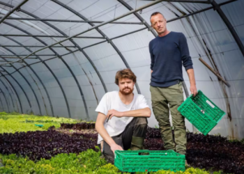 “Nëse ai dëbohet, biznesi im do të jetë në rrezik”, Shefi zviceran “luftë me shtetin” për të mbajtur shqiptarin pa dokumente