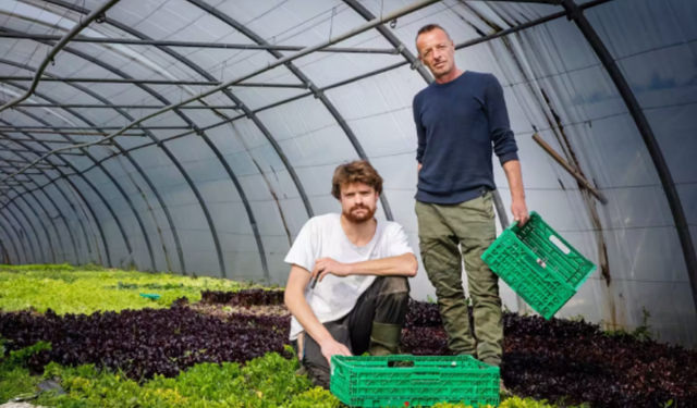 “Nëse ai dëbohet, biznesi im do të jetë në rrezik”, Shefi zviceran “luftë me shtetin” për të mbajtur shqiptarin pa dokumente