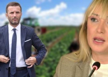 Karkaleci dëmton të mbjellat, Braçe sulmon Ministrinë e Bujqësisë: Një ministër, tre zv/ ministra e drejtorë pa hesap as e prishën terezinë