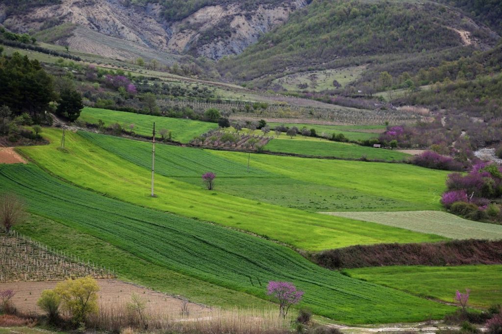Korrupsioni me grantet e bujqësisë, BE vijon të pezullojë fondet IPARD për Shqipërinë
