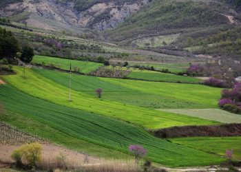 Korrupsioni me grantet e bujqësisë, BE vijon të pezullojë fondet IPARD për Shqipërinë