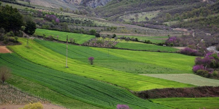 Korrupsioni me grantet e bujqësisë, BE vijon të pezullojë fondet IPARD për Shqipërinë