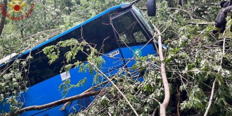 Aksident i rëndë, autobusi me 20 fëmijë bie në humnerë (FOTO)