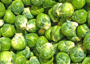 Këto janë perimet më të mira për personat që vuajnë nga diabeti