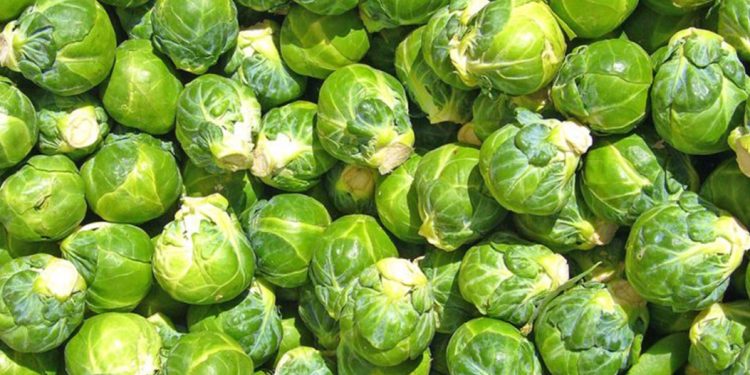 Këto janë perimet më të mira për personat që vuajnë nga diabeti