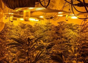 U kap në “shtëpi bari” në Britani, i riu shqiptar dënohet me burg: Iu kisha para borxh atyre që më sollën këtu (Emri)