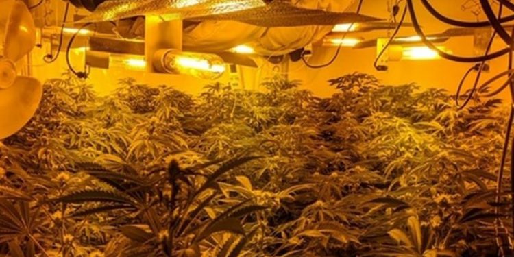 U kap në “shtëpi bari” në Britani, i riu shqiptar dënohet me burg: Iu kisha para borxh atyre që më sollën këtu (Emri)