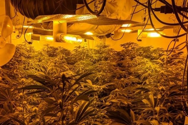 U kap në “shtëpi bari” në Britani, i riu shqiptar dënohet me burg: Iu kisha para borxh atyre që më sollën këtu (Emri)