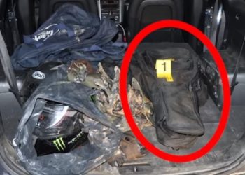 Policia parandalon atentatin, shpall në kërkm tre persona