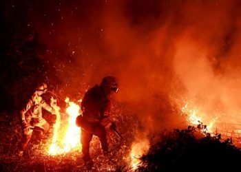 Si do të ndikojë fenomeni El Nino në motin e gjithë botës?