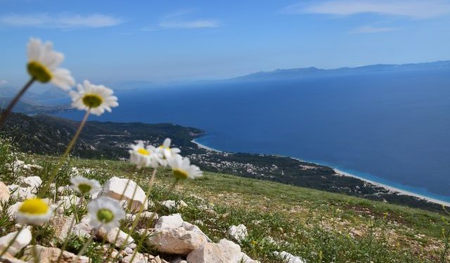 diell turizmi shqiperia pushimet