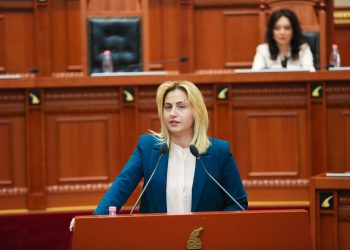 Butrinti me koncension, Kushtetuesja cakton datën e parë të seancës. Ina Zhupa: Çështje kombëtare!