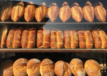 Bie çmimi i miellit në vend, por a do të ulet buka?!