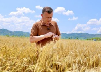 taulant balla, kryetar koperative, gruri, drithi, partia