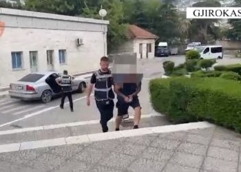 Trafik klandestinësh me furgon kundrejt pagesës 500 euro për person, ndalohet çifti i bashkëjetuesve në Gjirokastër (VIDEO)