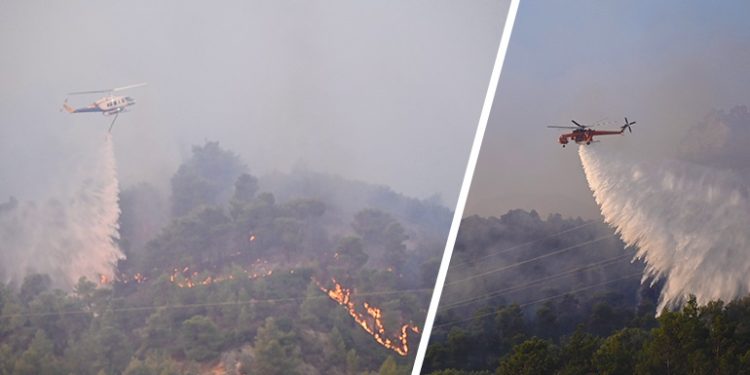 zjarr, korfuz, rodos, greqi